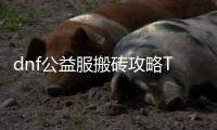 dnf公益服搬砖攻略TOP10