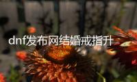dnf发布网结婚戒指升级指南