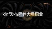 dnf发布网养大号职业选择指南